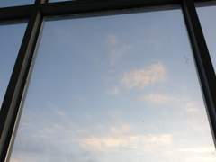 오늘의 일기4ㅡ 복직 2