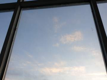 오늘의 일기4ㅡ 복직 2