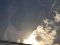 오늘의 일기5ㅡ복직 3