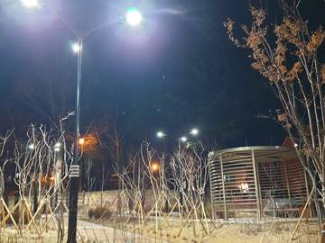 오늘의일기7ㅡ복직5