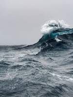 비밀의 생물 사전