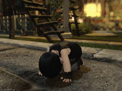 파이널 판타지14 터주 일지 (完)