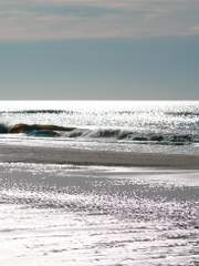 사랑하던 푸른 세상