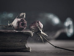 𝐄. 𝐎𝐧𝐜𝐞 𝐮𝐩𝐨𝐧 𝐚 𝐭𝐢𝐦𝐞