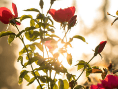 과한 욕심은 화를 부른다.