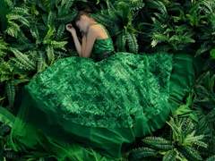 디오니소스와 포도나무