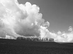 우리에게도 마지막이라는 게