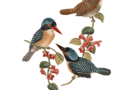 [백망되/현대팀] 화조도