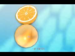 미필적 고의에 의한 연애사 - 오렌지