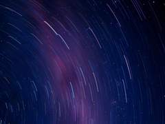 엘리사벳은 불렀다.