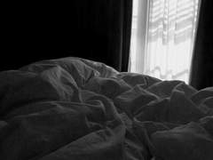 시라부 선생님 -7