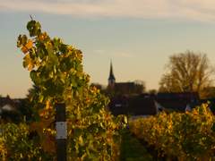 [레테/마스카] 바쿠스의 혁명가 - Ep.1.5 곡창지대