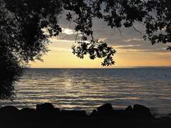 인어 기이의 나들이