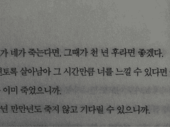 살짝어두운듯한책글귀