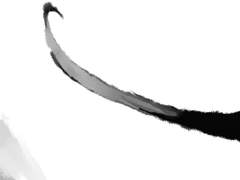 공포에 근심하고 근심하며 찬양합니다.