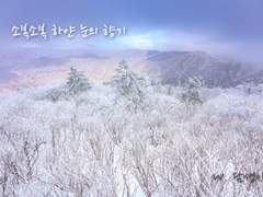 [국민] 소복소복 하얀 눈의 향기