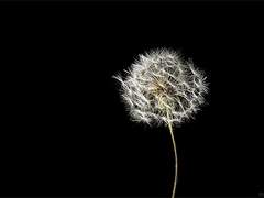 [현예] 내겐 너무 가벼운 그