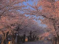 [쟝아르] 계절의 표상 上