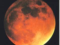 [재헌지수] 전생