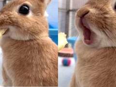 수싀 트윗백업 1월