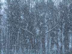 꿈에도 그리던 순간이었다.