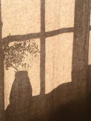 마들에슾 대학 AU