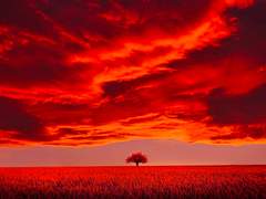 [워킹데드/니건릭] 용화 4