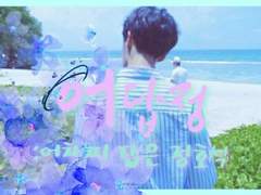 어차피 답은 정호석 #完