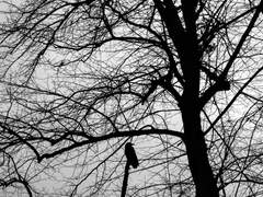 그 악마들의 이야기-과거편(1)