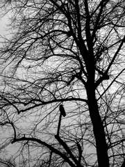 그 악마(와 하수인)들의 이야기