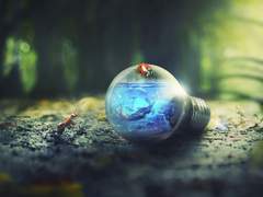 [현제유진] 미친 것은, 누구일까 1