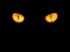 [현제유진] Episodic Memory 2