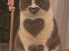 시리즈 쓰려고 사실3개쓴거