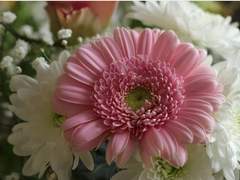 [백망되/라온]이별의 방법