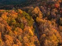 요람 속 울음은