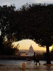 강아지 사랑의 유구한 역사