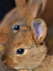 랩국 연성 썰 스토리중심