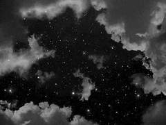 한결 같은 그 꽃에게