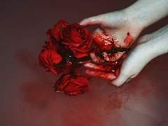 공지 및 간단한 QnA