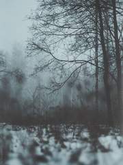 𝐑𝐮𝐬𝐭𝐲 𝐋𝐚𝐤𝐞 - 𝐛𝐚𝐜𝐤𝐮𝐩𝐬