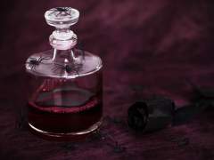 Arachne Est Violenta