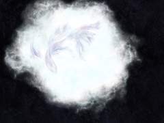 Winter 베타 시누