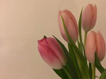 하루하루 조금씩 나아질 거야