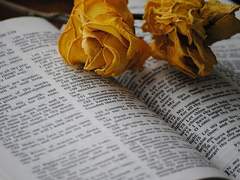 제가 궁금하시다니, 몸둘 바를 모르겠네요.