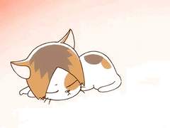 켄마 냥줍 하고 싶다