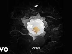 Ronefeldt T. Helitropium