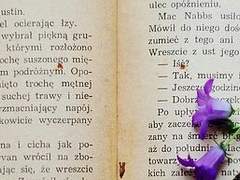 알피어스 P. 세레니티 / 25