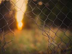 귀신 보는 록수 上