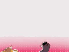 켄마 냥줍 하고 싶다 2