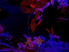 [전독시] 천명 - 23화 끝, 그리고 (1부 완결)